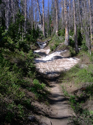 [Snow completely covering part of the trail.]